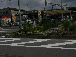 20030803_003.JPG