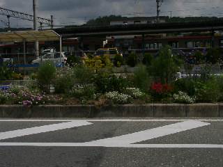 20030803_004.JPG