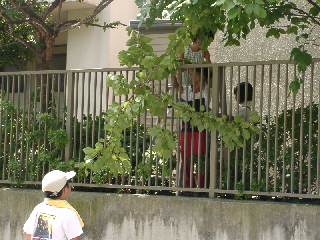 20030830_002.JPG