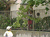 20030830_002_thumb.png