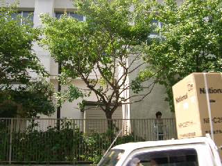 20030830_003.JPG