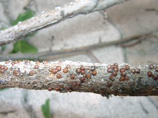 20030830_005.JPG