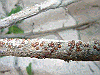 20030830_005_thumb.png