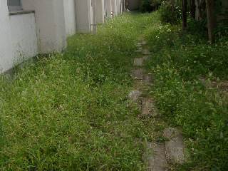 20030830_007.JPG