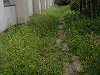20030830_007_thumb.png