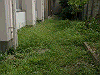 20030830_008_thumb.png