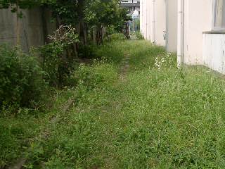 20030830_009.JPG