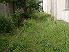20030830_009_thumb.png