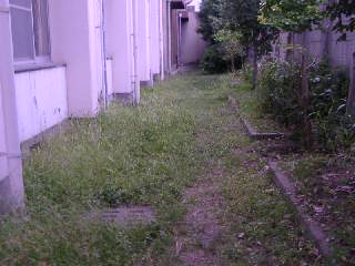 20030830_010.JPG