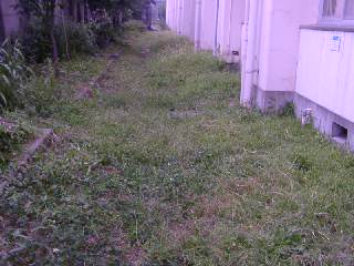 20030830_012.JPG