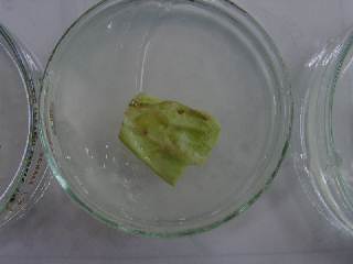 09060022.JPG