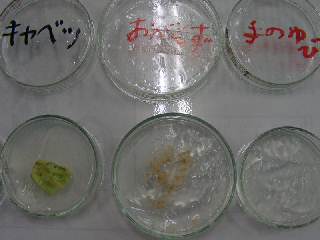 09060023.JPG
