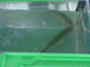 09280062_thumb.png