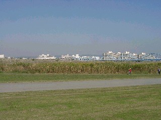 1018015.jpg