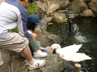 20031108_09.jpg