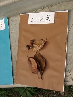 20031108_22.jpg