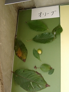 20031108_24.jpg