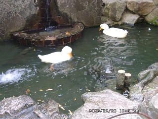 20031220_01.jpg