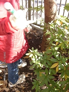 20031220_11.jpg