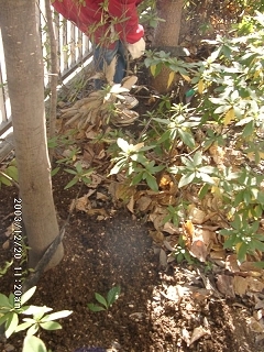 20031220_14.jpg