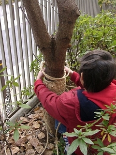 20031220_30.jpg