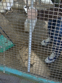 20031227_16.jpg