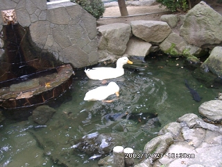 20031227_22.jpg