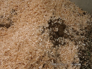 20031227_27.jpg