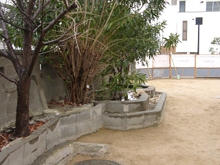 01170038.jpg