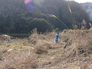 02010029.jpg