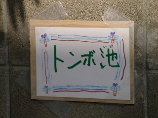 02140027.jpg