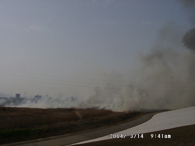 20040314_02.jpg