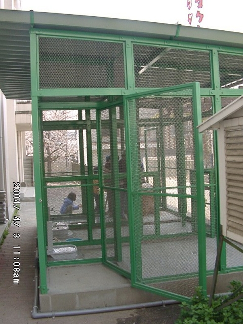 20040403_06.jpg