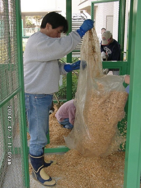20040403_10.jpg