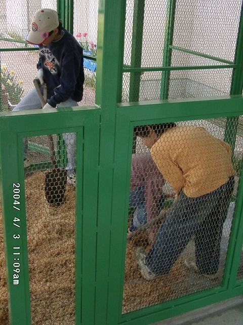 20040403_11.jpg