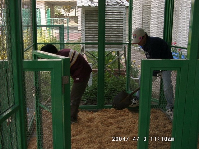 20040403_12.jpg