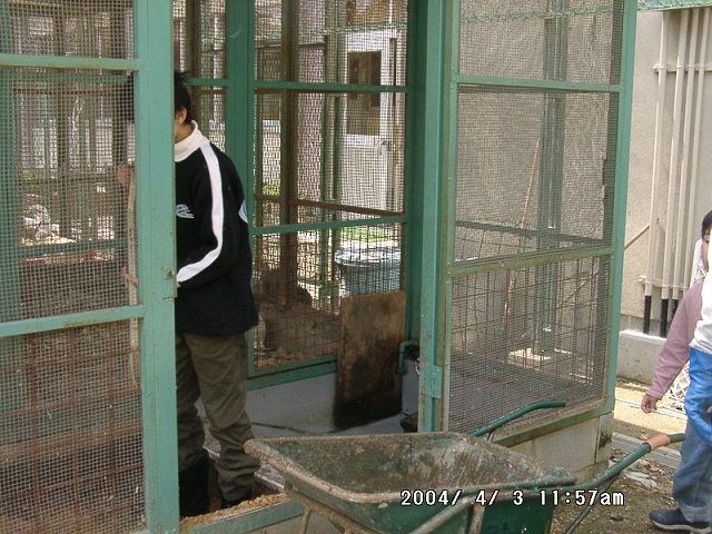 20040403_19.jpg