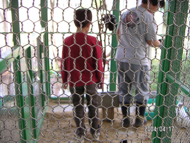 20040417_02.jpg