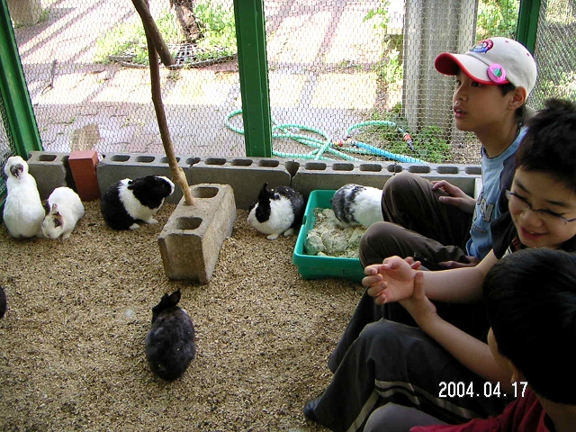 20040417_05.jpg