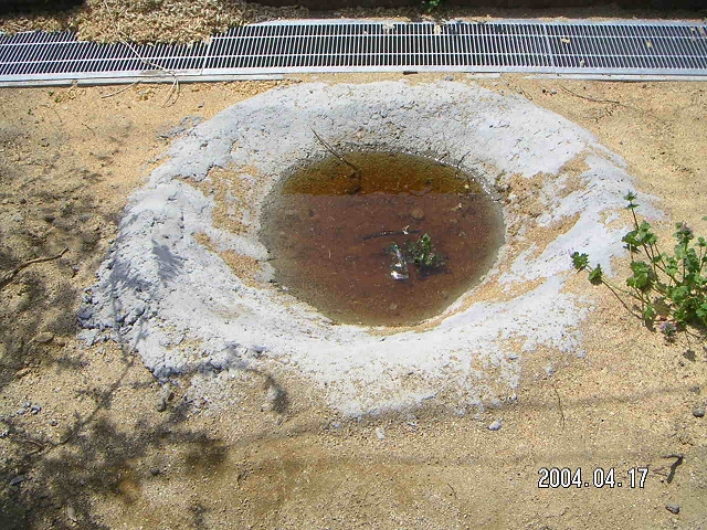 20040417_07.jpg