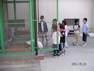 002.jpg