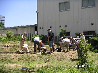 050.jpg