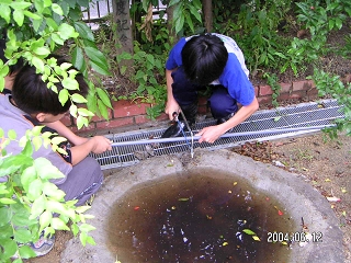 011.jpg