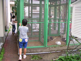 005.jpg